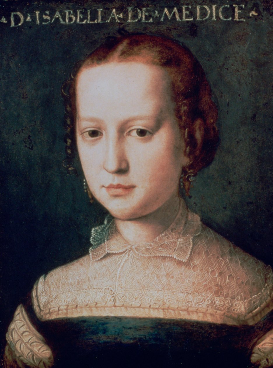 伊莎贝拉·德·美第奇（Isabella de Medici），十六世纪 作者 Agnolo Bronzino