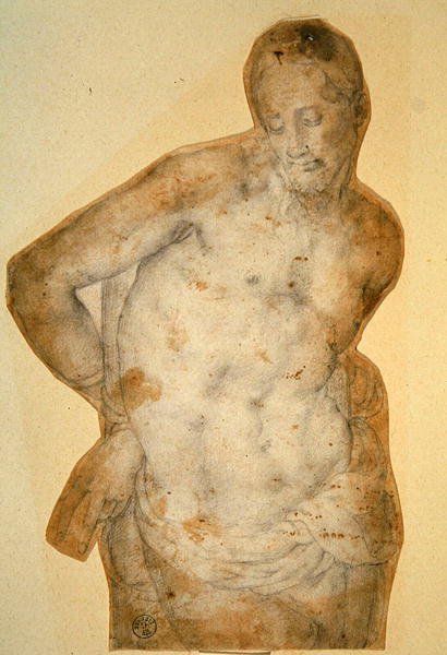 基督在柱子上（纸上粉笔画 作者 Agnolo Bronzino