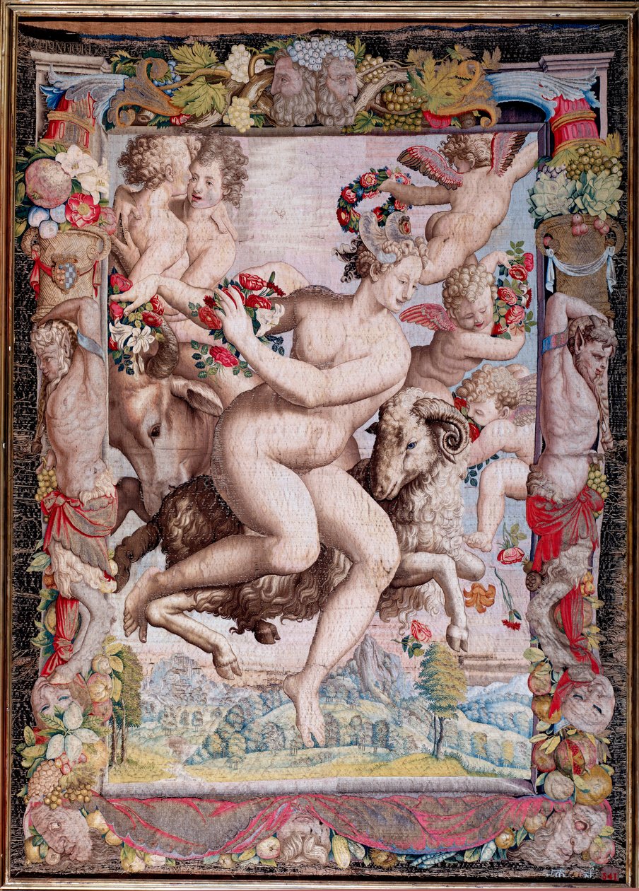 植物群 作者 Agnolo Bronzino