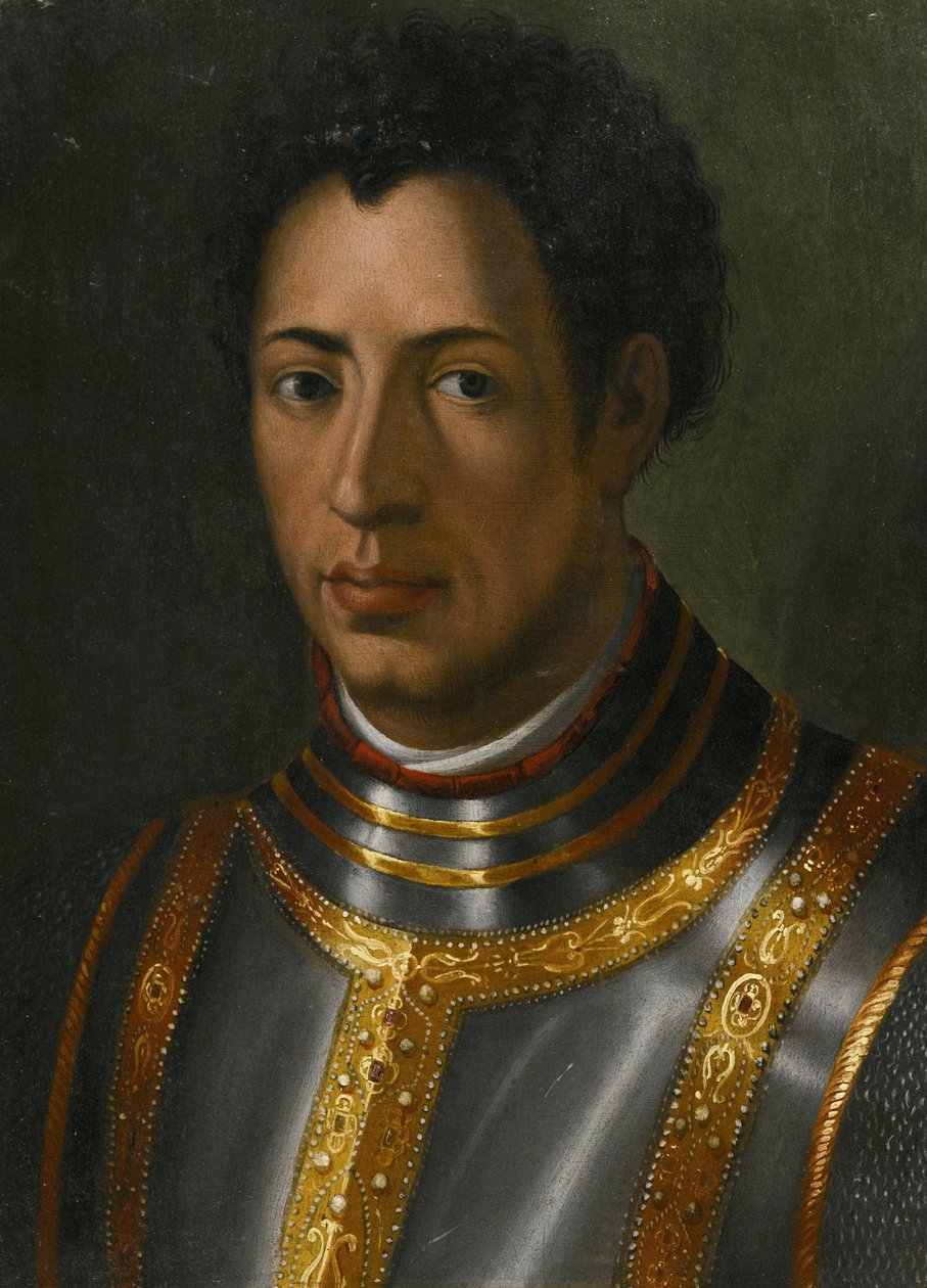 亚历山德罗-德-美第奇（1510-1537）的肖像（Alexandre de Medicis, dit le Maure）--由布朗齐诺，阿诺罗（1503-1572）创作。木板油画，尺寸：23,2x16,7 作者 Agnolo Bronzino