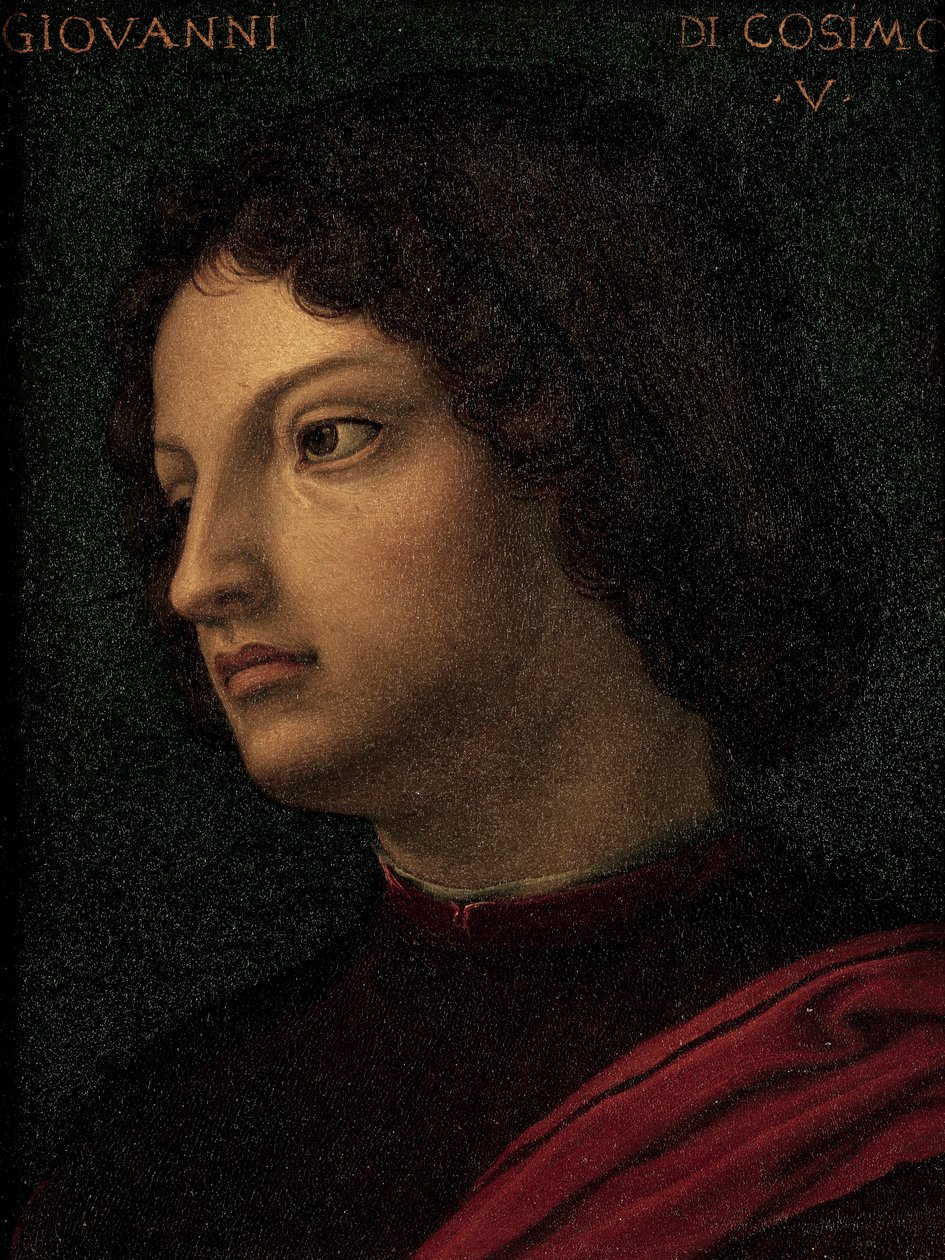 乔瓦尼-德-美第奇的肖像（佛罗伦萨 作者 Agnolo Bronzino