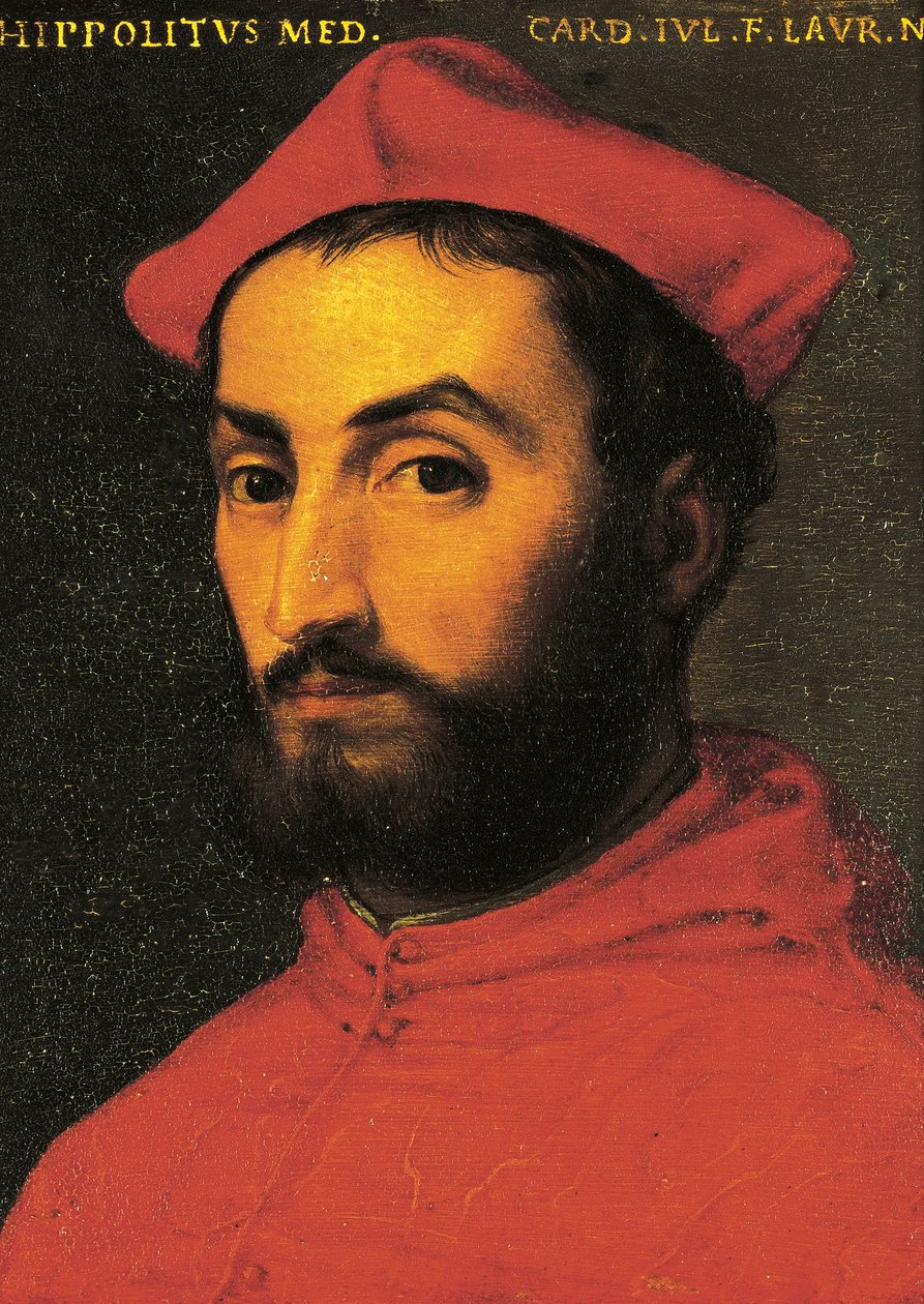 伊波利托-德-美第奇的肖像（乌尔比诺 作者 Agnolo Bronzino