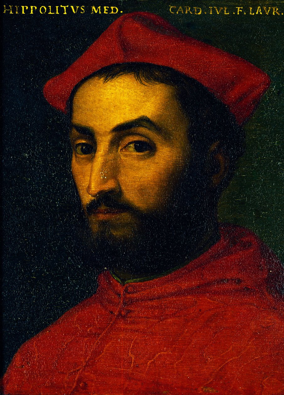 伊波利托-德-美第奇的肖像（乌尔比诺 作者 Agnolo Bronzino