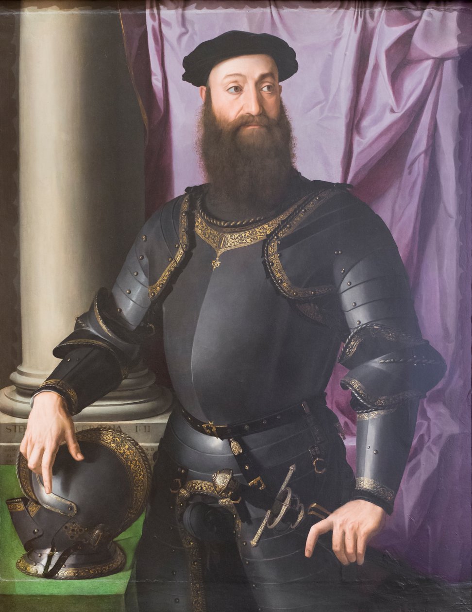 斯蒂法诺四世-科隆纳肖像 作者 Agnolo Bronzino