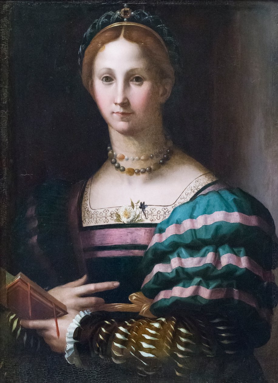 一位女士的肖像 作者 Agnolo Bronzino