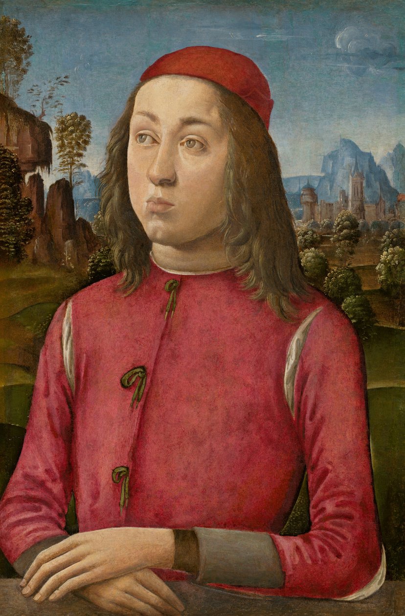 青年画像，约14951500 作者 Agnolo di Domenico di Donnino