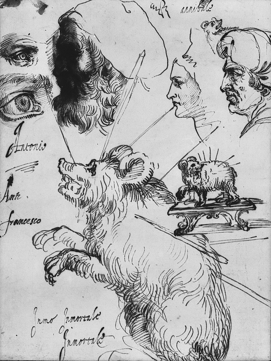 研究卡拉奇家族的经验 作者 阿戈斯蒂诺·卡拉奇（Agostino Carracci）