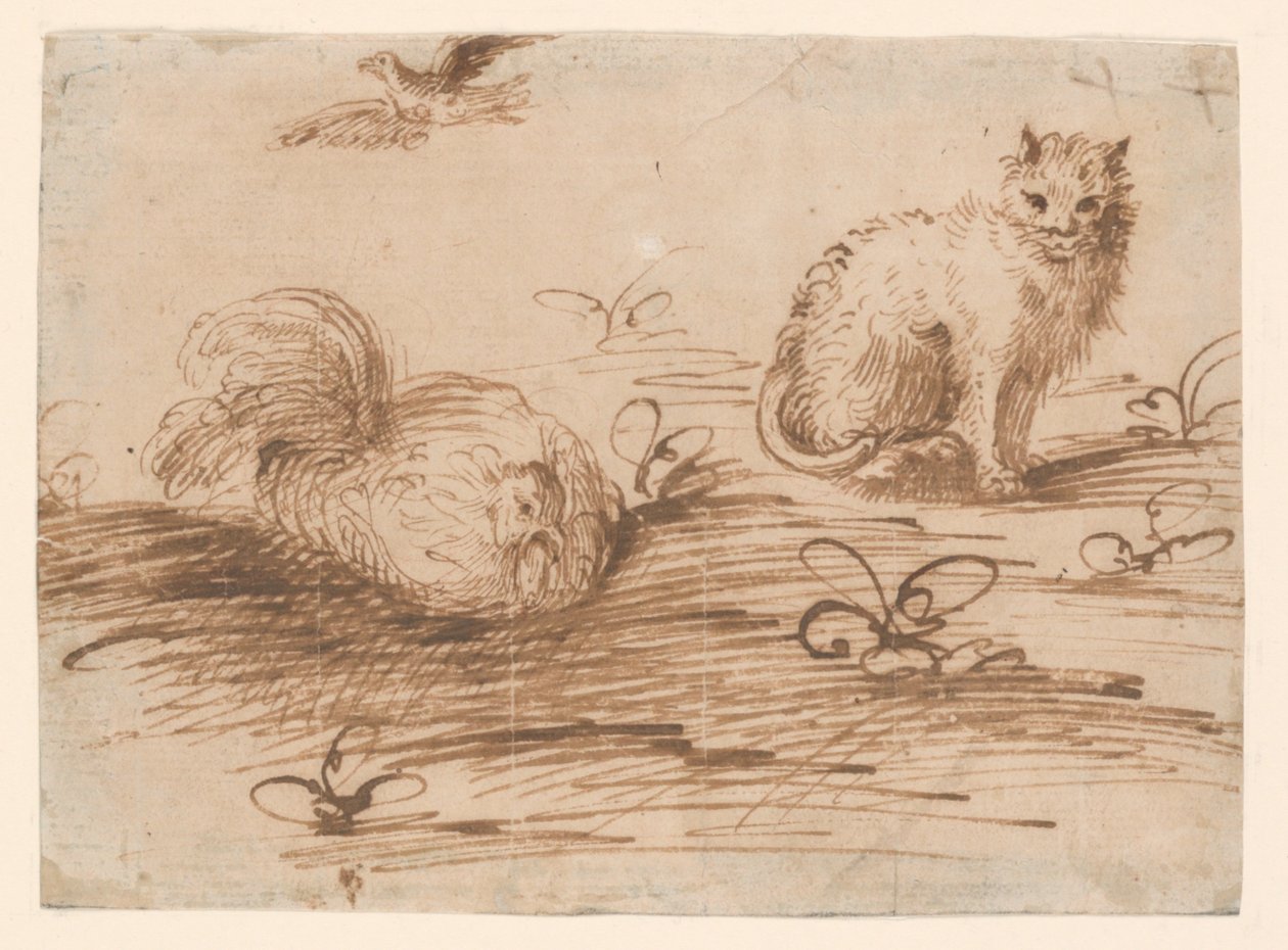 一只猫和一只母鸡 作者 阿戈斯蒂诺·卡拉奇（Agostino Carracci）