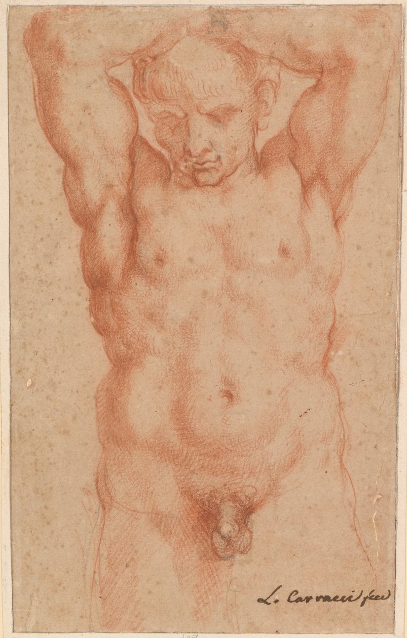 男性裸体 作者 阿戈斯蒂诺·卡拉奇（Agostino Carracci）