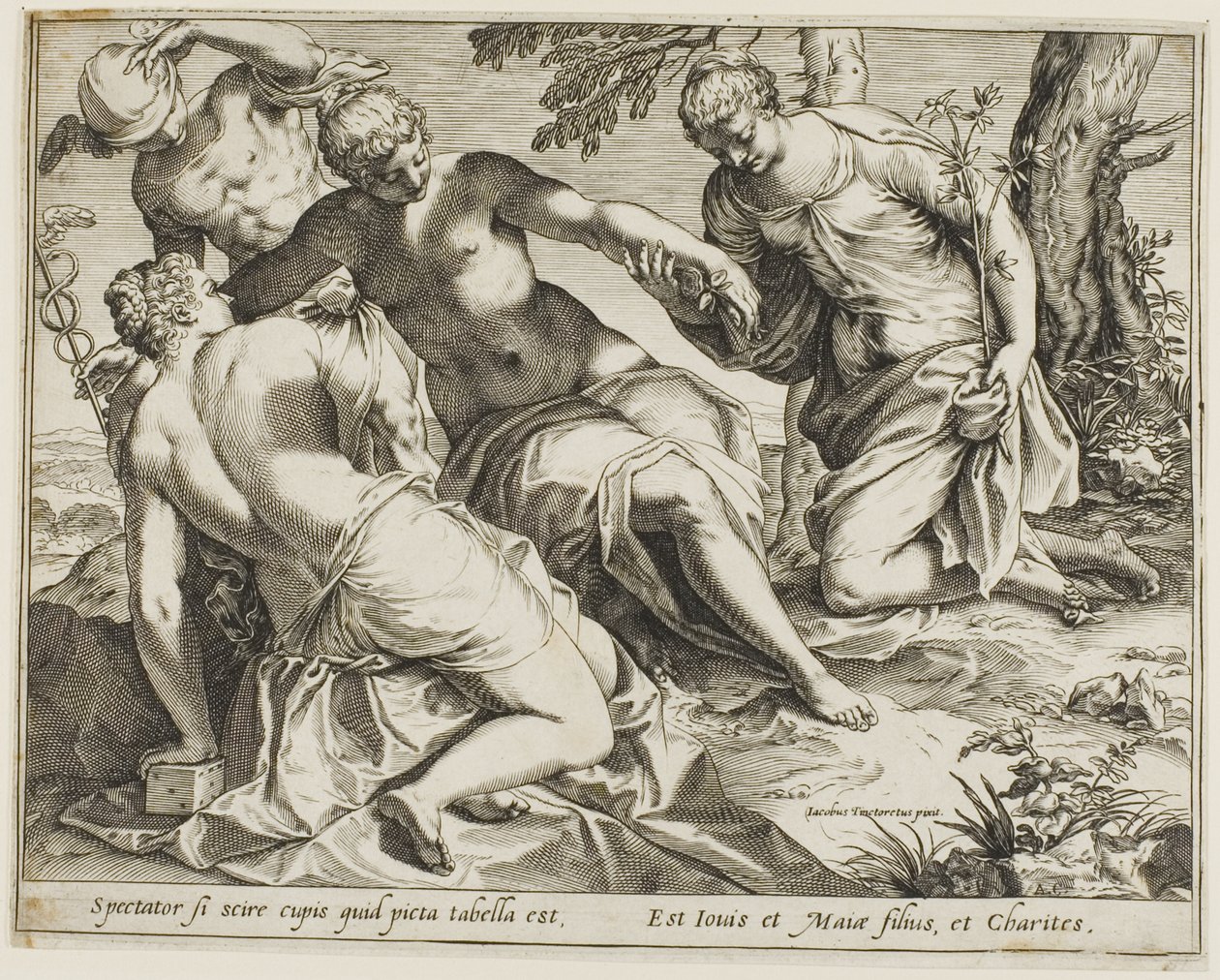 水星与女神 作者 阿戈斯蒂诺·卡拉奇（Agostino Carracci）