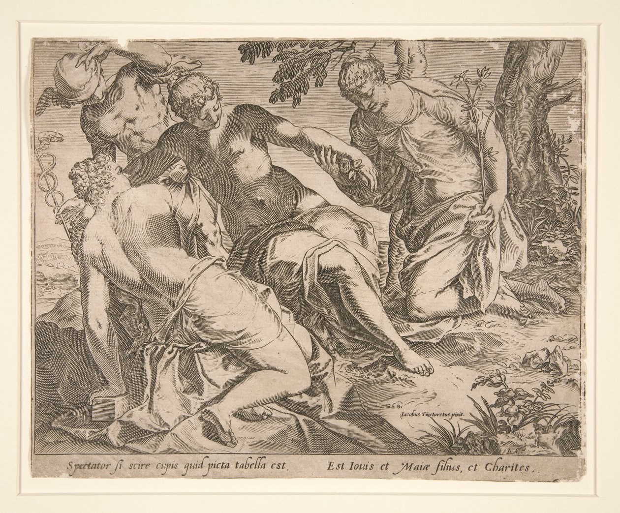 水星与三女神 作者 阿戈斯蒂诺·卡拉奇（Agostino Carracci）