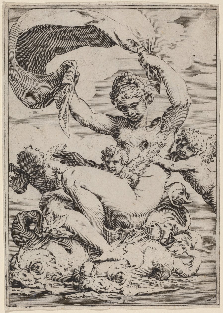 海豚支持的维纳斯或加拉提亚 作者 阿戈斯蒂诺·卡拉奇（Agostino Carracci）
