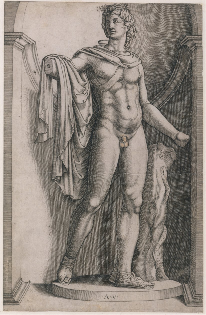 Speculum Romanae Magnificentiae: Apollo Belvedere, c. 1514-36, 约1514-36。 作者 阿戈斯蒂诺·韦内齐亚诺