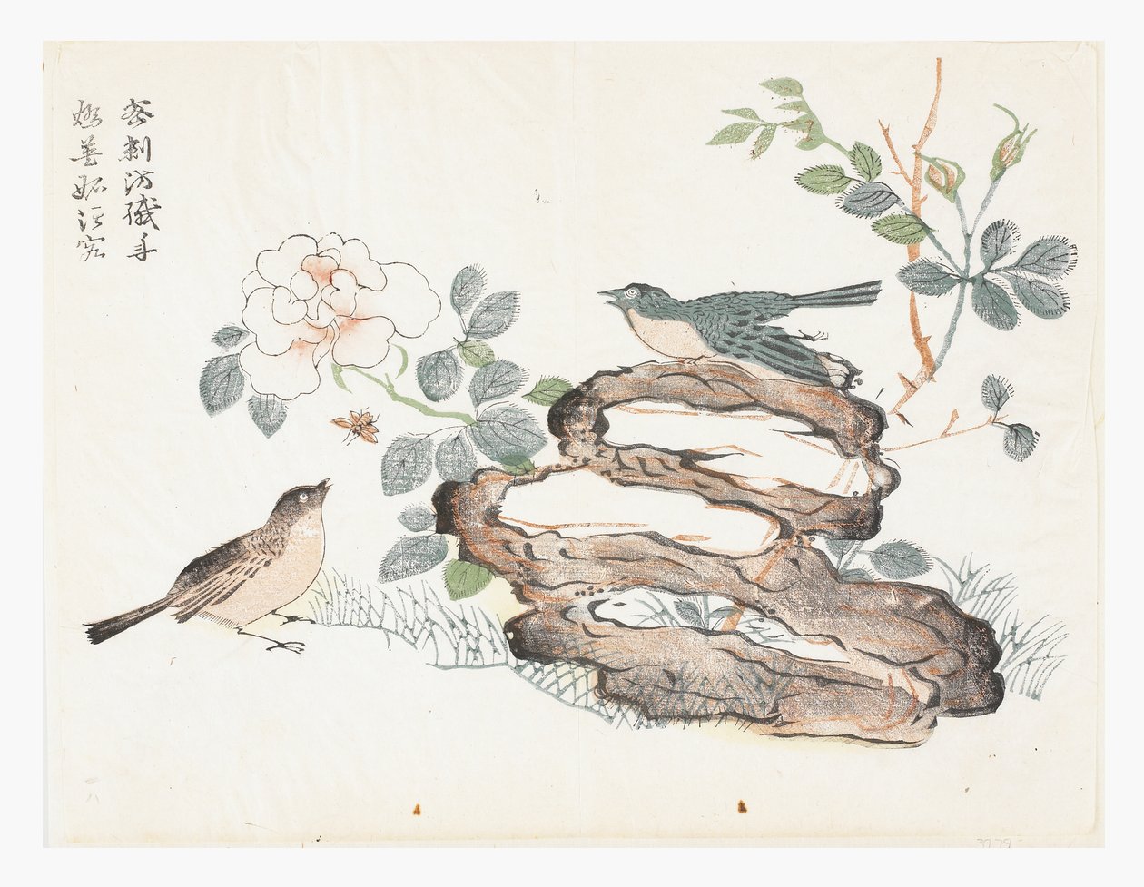 芥菜籽园 作者 艾（后）轩