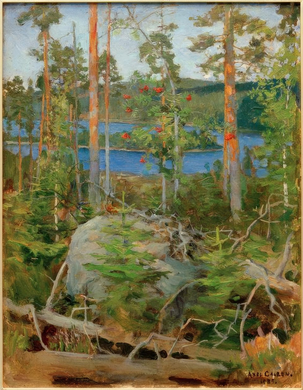 Jamajärvi湖的景色 作者 阿克塞利·瓦尔德马尔·加伦·卡莱拉
