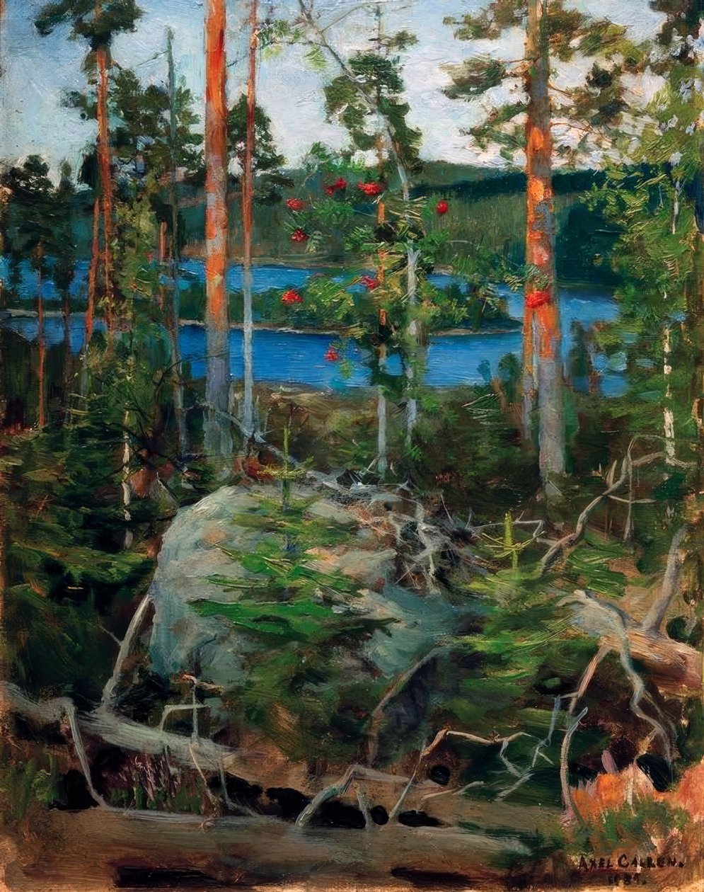 Jamajärvisee的风景 作者 阿克塞利·瓦尔德马尔·加伦·卡莱拉