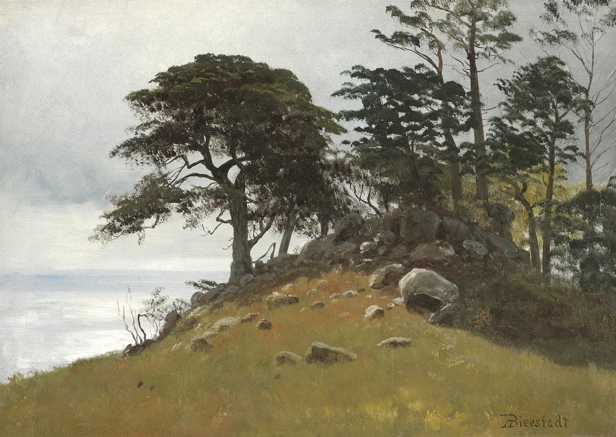 Cypress Point，Monterey 作者 阿尔伯特·比尔施塔特