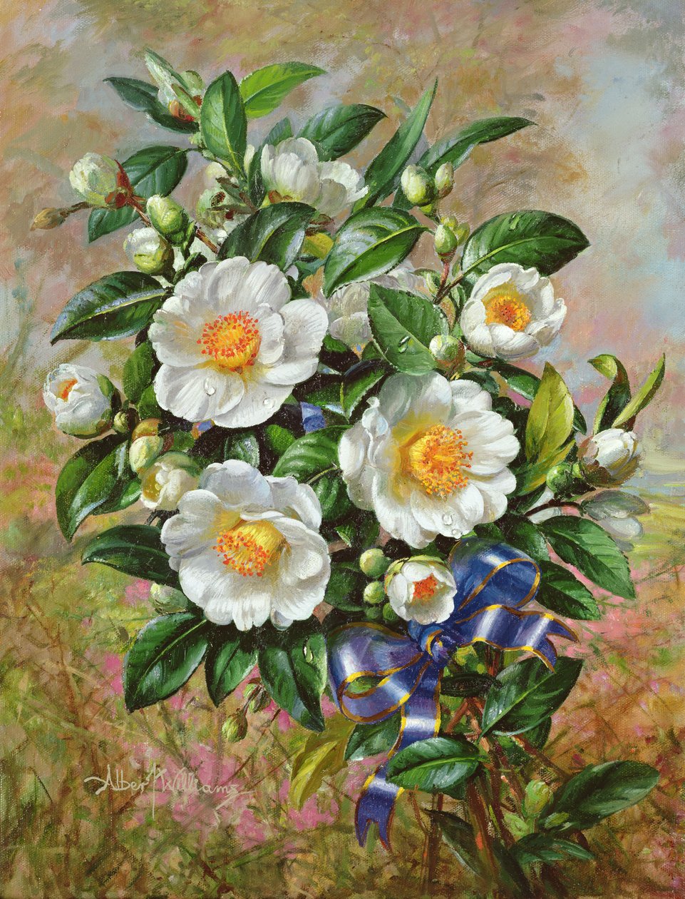 来自Golden Jubilee系列的加冕Camelia，2002年 作者 阿尔伯特·威廉姆斯