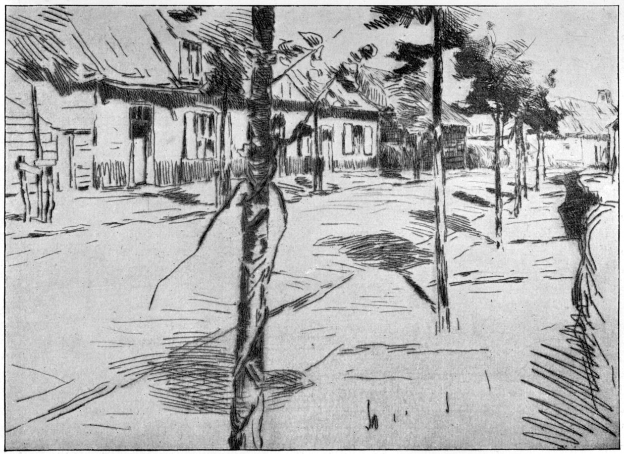 西兰路，1898年。 作者 阿尔伯特·拜特森