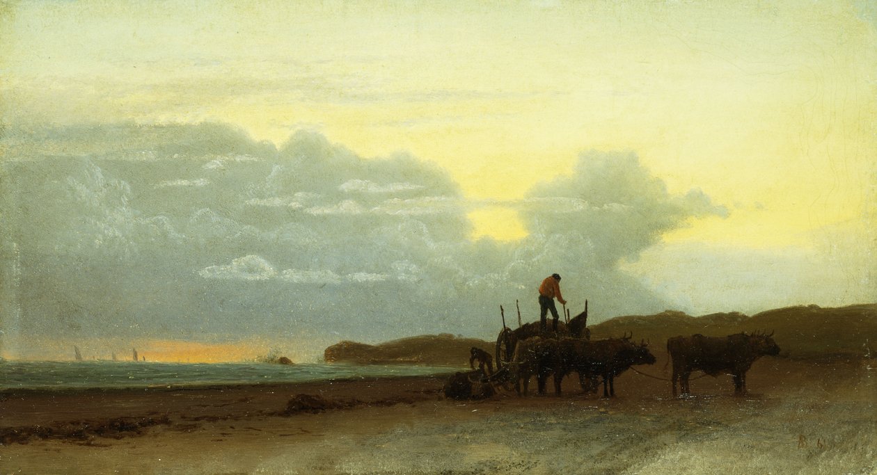 沿海景观，纽波特，1861年 作者 阿尔伯特·比尔施塔特