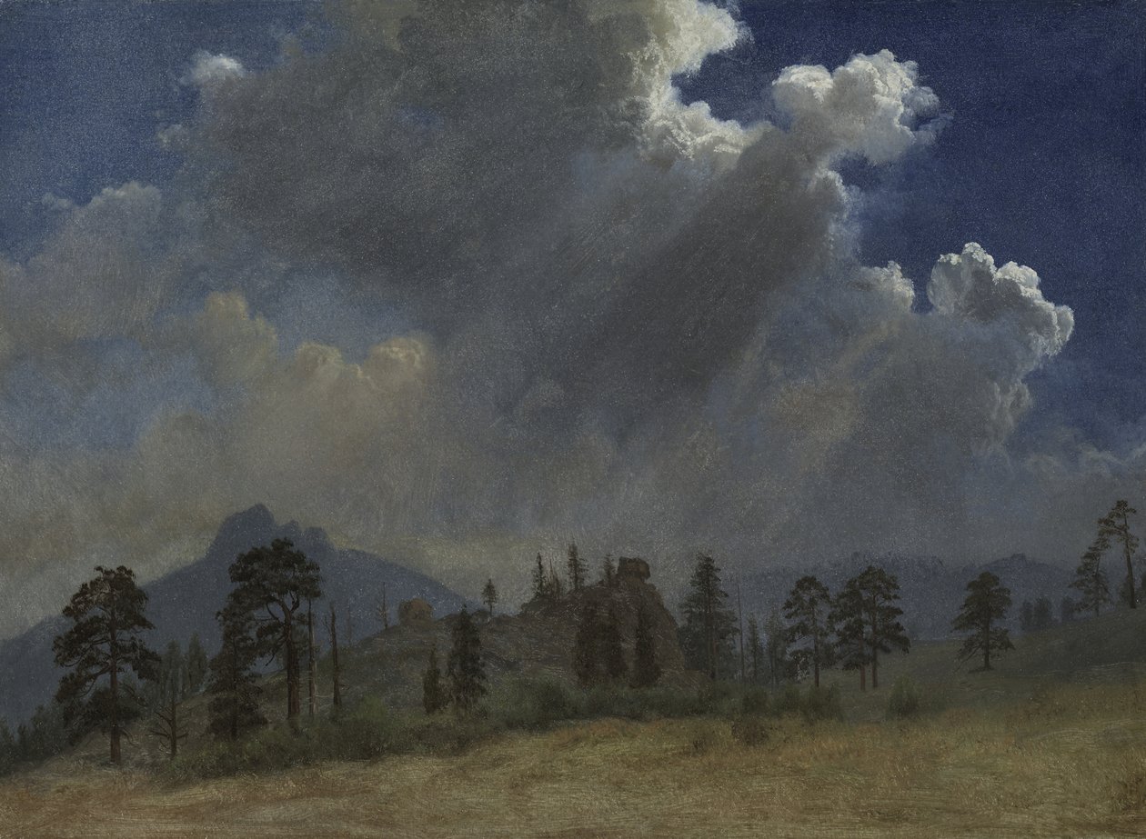 杉树和风云，约 1870 年（纸面油画，帆布装裱） 作者 阿尔伯特·比尔施塔特