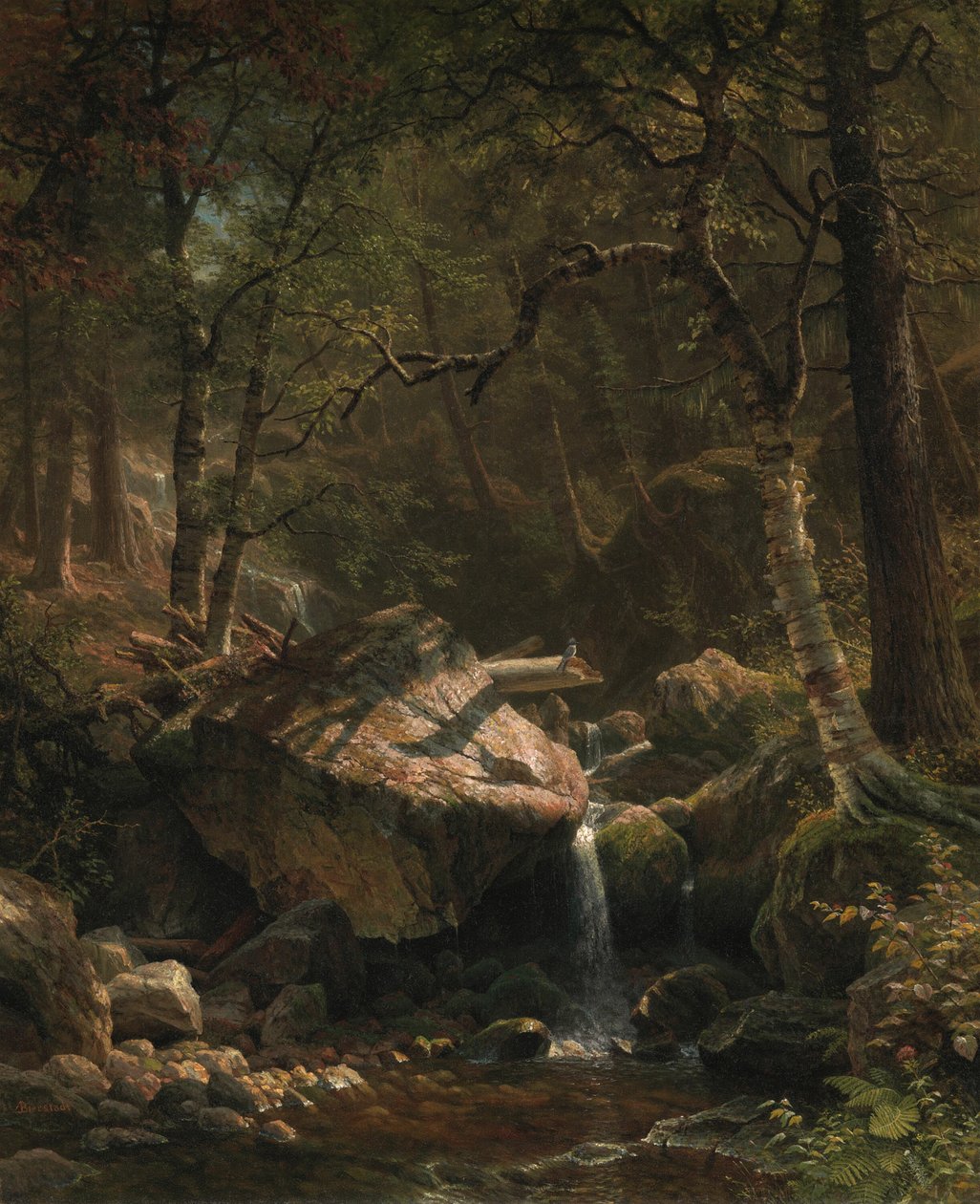 山溪，1863年。 作者 阿尔伯特·比尔施塔特