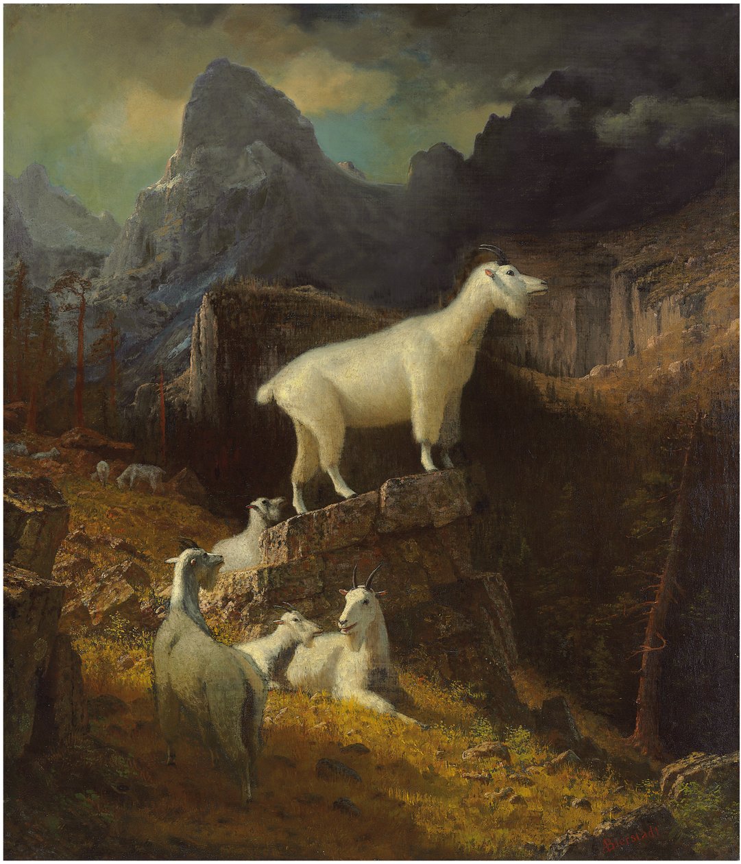 落基山羊，c.1885年作（布面油画） 作者 阿尔伯特·比尔施塔特