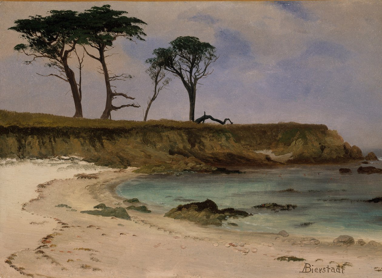 Sea Cove，c.1880-90（木头上的油） 作者 阿尔伯特·比尔施塔特