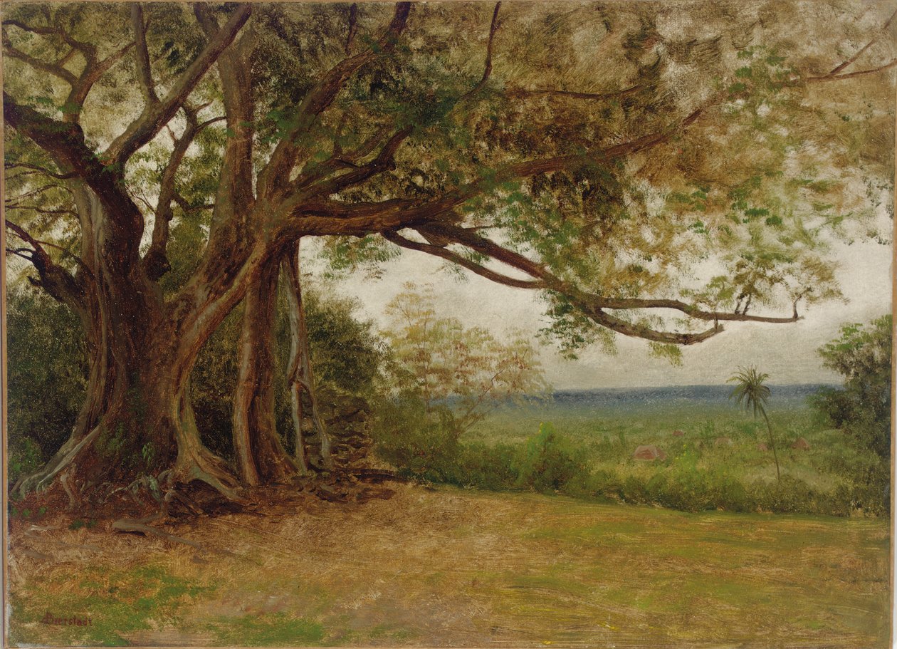研究“哥伦布着陆”，1892年 作者 阿尔伯特·比尔施塔特