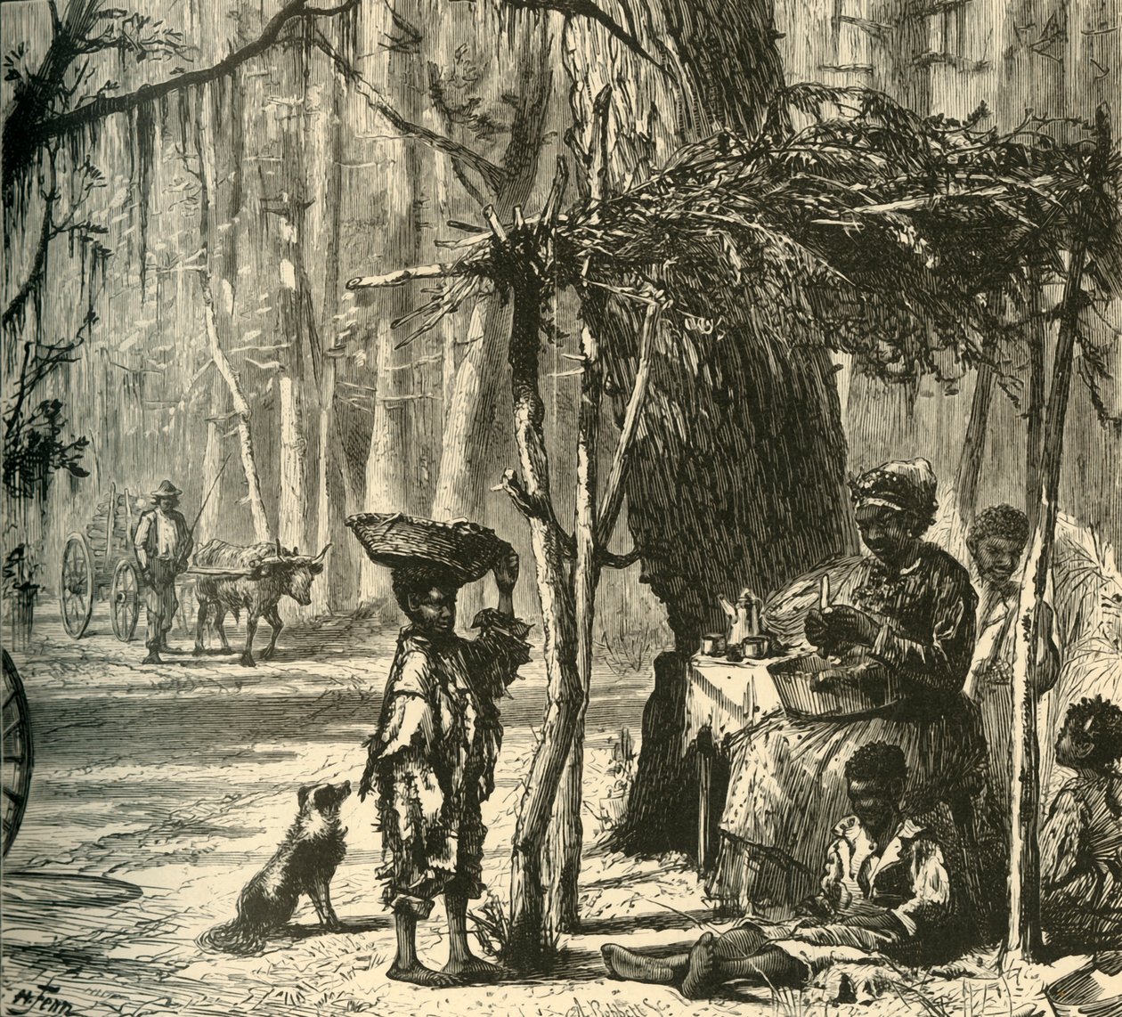 查尔斯顿附近的路边风景》，1872年。   作者 阿尔伯特·鲍贝特