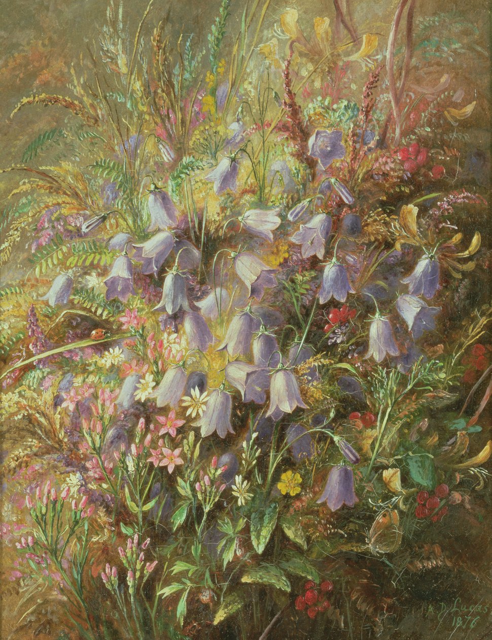 Harebells和其他Woodland Flowers und Grasses 作者 阿尔伯特·杜勒·卢卡斯
