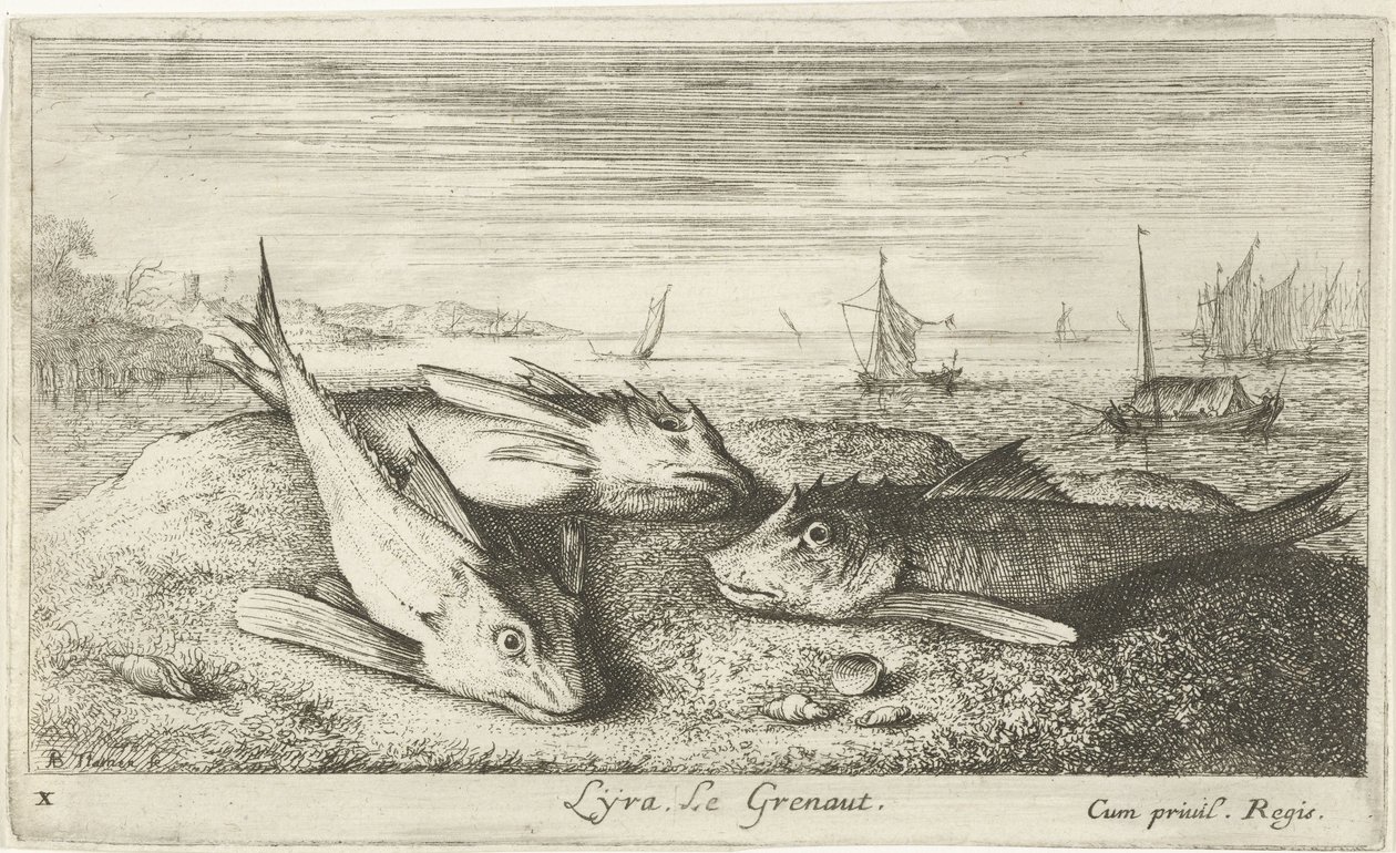 海滩上的三条咸水鱼
Lyta, Le grenaut.(物体上的标题）
鱼类和其他海洋生物--咸水第一辑（系列名称）
Diverses Especes de Poissons de mer（系列名称） 作者 阿尔伯特·弗拉芒（Albert Flemish）