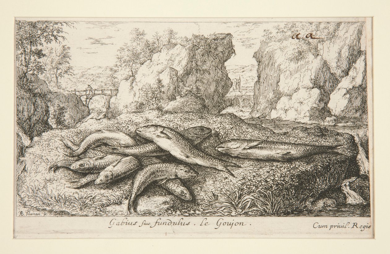 Gabius siue fundulus.Le Goujon 作者 阿尔伯特·弗拉芒（Albert Flemish）