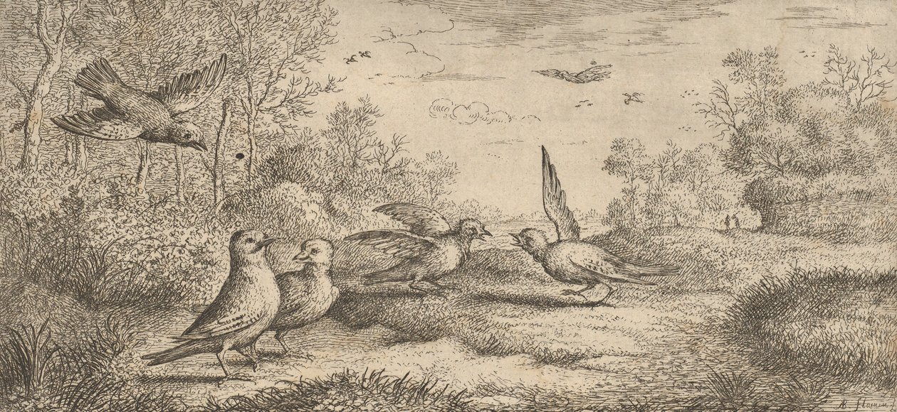 Garrulus, Gey The Jay：Livre d