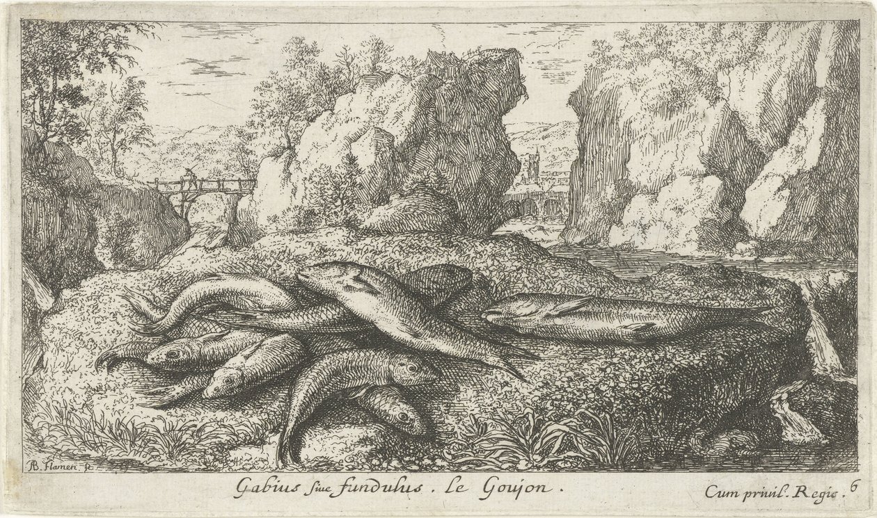 河岸上的虾虎鱼
Gabius siue fundulus.Le Goujon。(物体上的标题）
鱼类和其他海洋动物 - 淡水第二辑（系列名称）
淡水鱼第二辑（系列名称） 作者 阿尔伯特·弗拉芒（Albert Flemish）