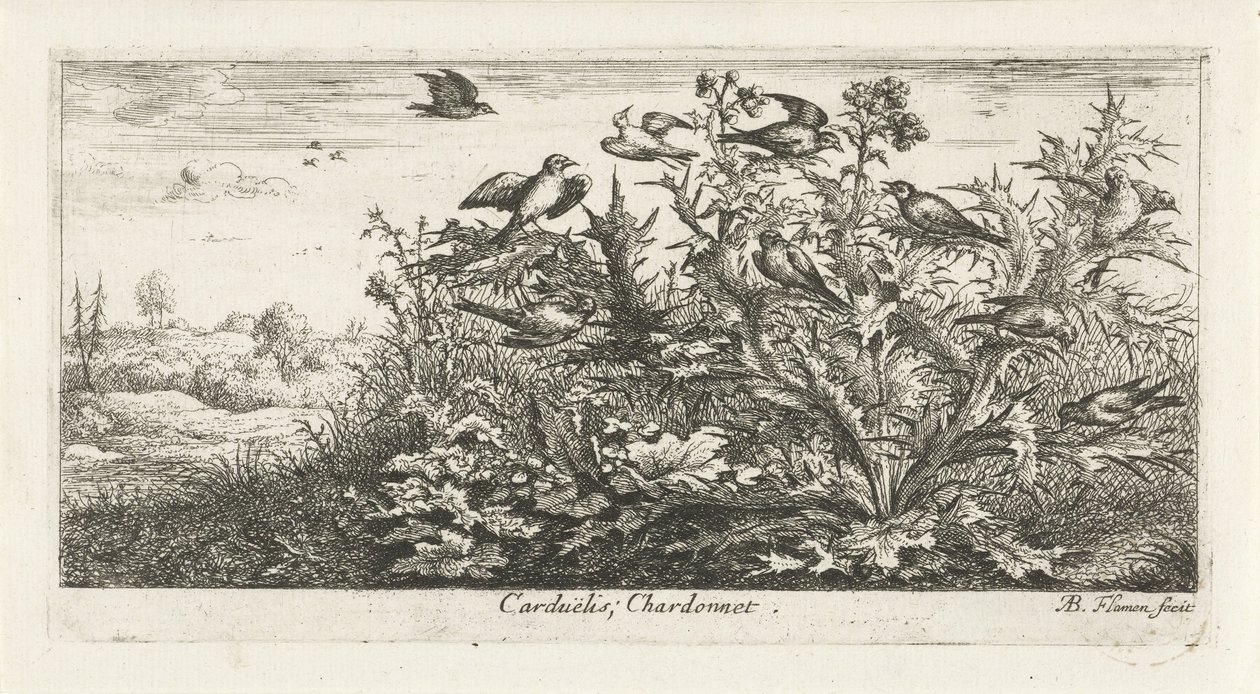 蓟中金翅雀的风景
Carduëlis; Chardonnet.(物体上的标题）
鸟之书（系列名称）
Livre d