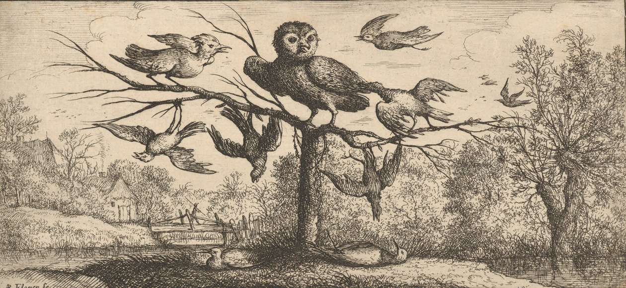 Monedula, Chouëtte《猫头鹰》：Livre d