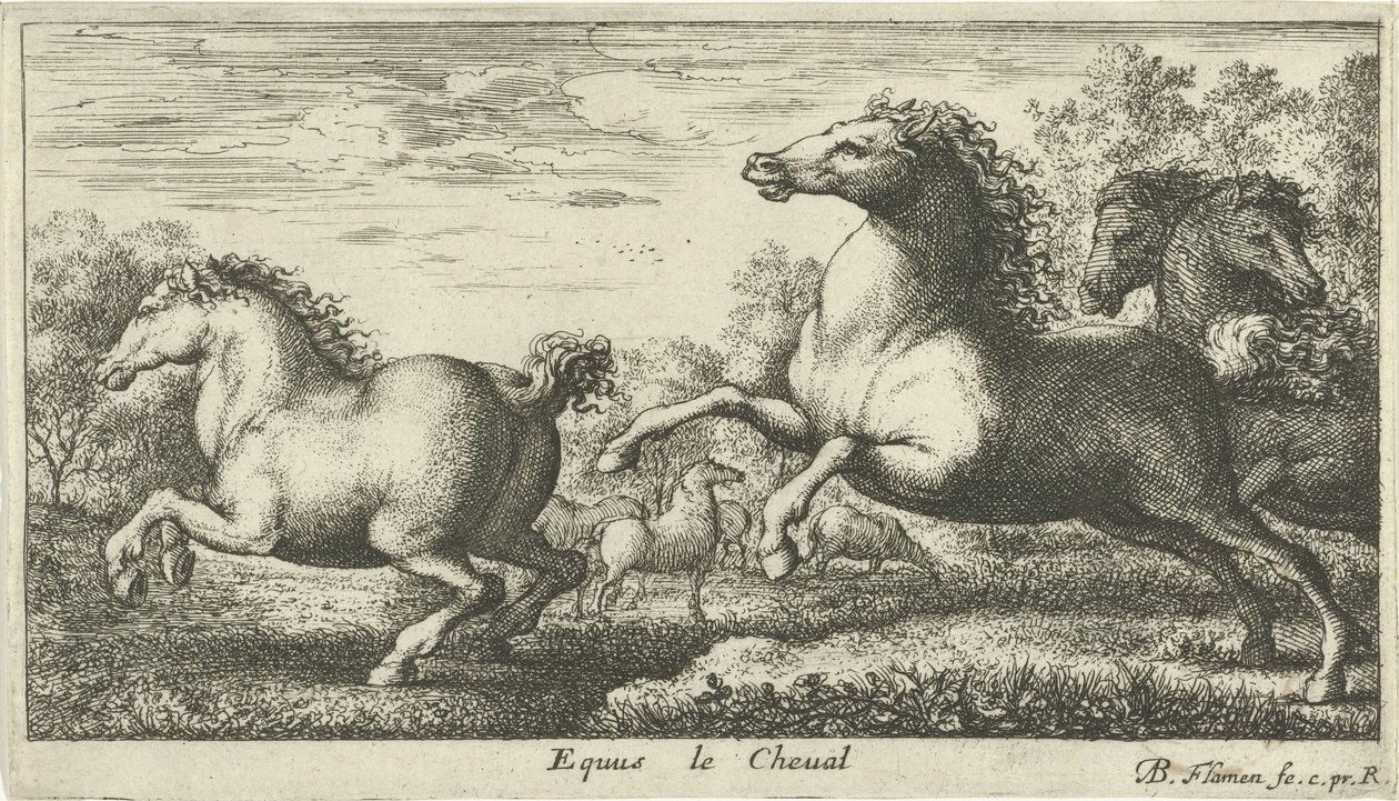 马
Equus le Cheval（物品上的标题）
各种动物（系列名称） 作者 阿尔伯特·弗拉芒（Albert Flemish）