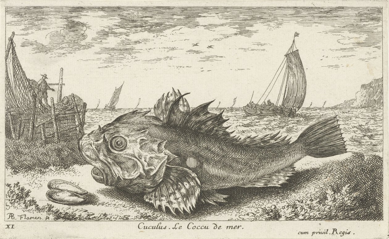 海滩上的潘鱼
Cuculus.Le Coccu de mer（物上标题）
鱼类和其他海洋动物--咸水第一辑（系列名称）
Diverses Especes de Poissons de mer（系列名称） 作者 阿尔伯特·弗拉芒（Albert Flemish）