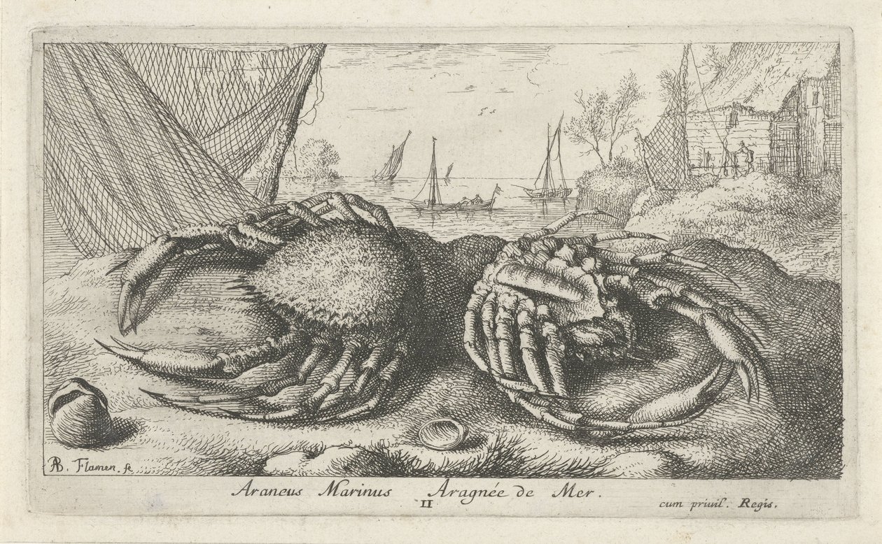 渔网旁的两只蜘蛛蟹
Araneus Marinus Aragnée de Mer（物体上的标题）
鱼类和其他海洋动物 - 海水第二辑（系列名称）
Poissons de mer（系列名称） 作者 阿尔伯特·弗拉芒（Albert Flemish）