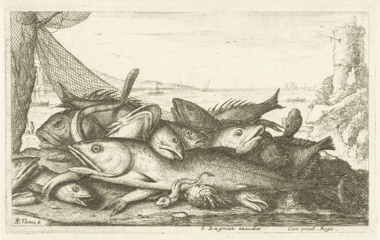 与寄居蟹一起钓鱼
Diverses Especes De Poissons tant de Mer, que d