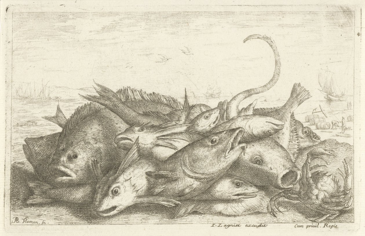 用螃蟹钓鱼
Diverses Especes De Poissons tant de Mer, que d