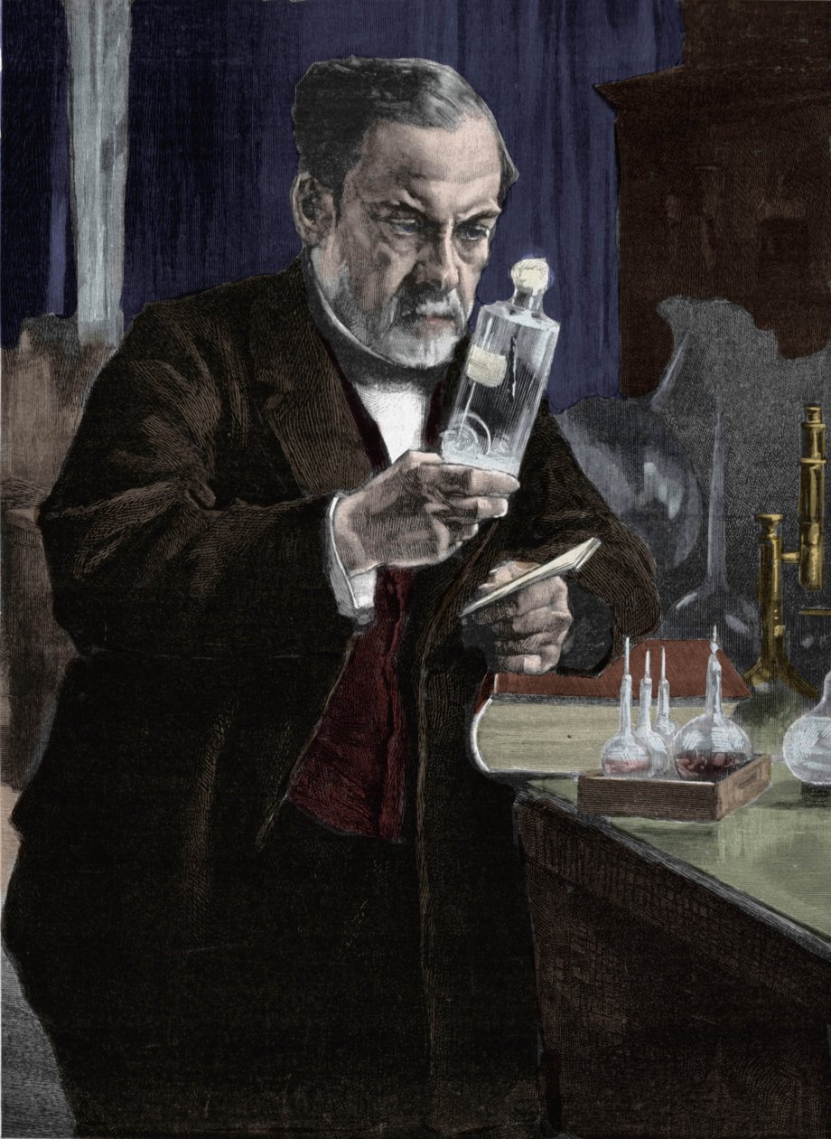 Louis Pasteur (1822-1895) 的肖像，法国化学家和生物学家。 出自巴黎奥赛博物馆的阿里斯蒂德·阿尔伯特·古斯塔夫·埃德费尔特 (Aristide Albert Gustaf Edelfelt，1854-1905 年) 的画作。 19 世纪的雕刻 作者 阿尔伯特·古斯塔夫·阿里斯蒂德·埃德尔费尔特