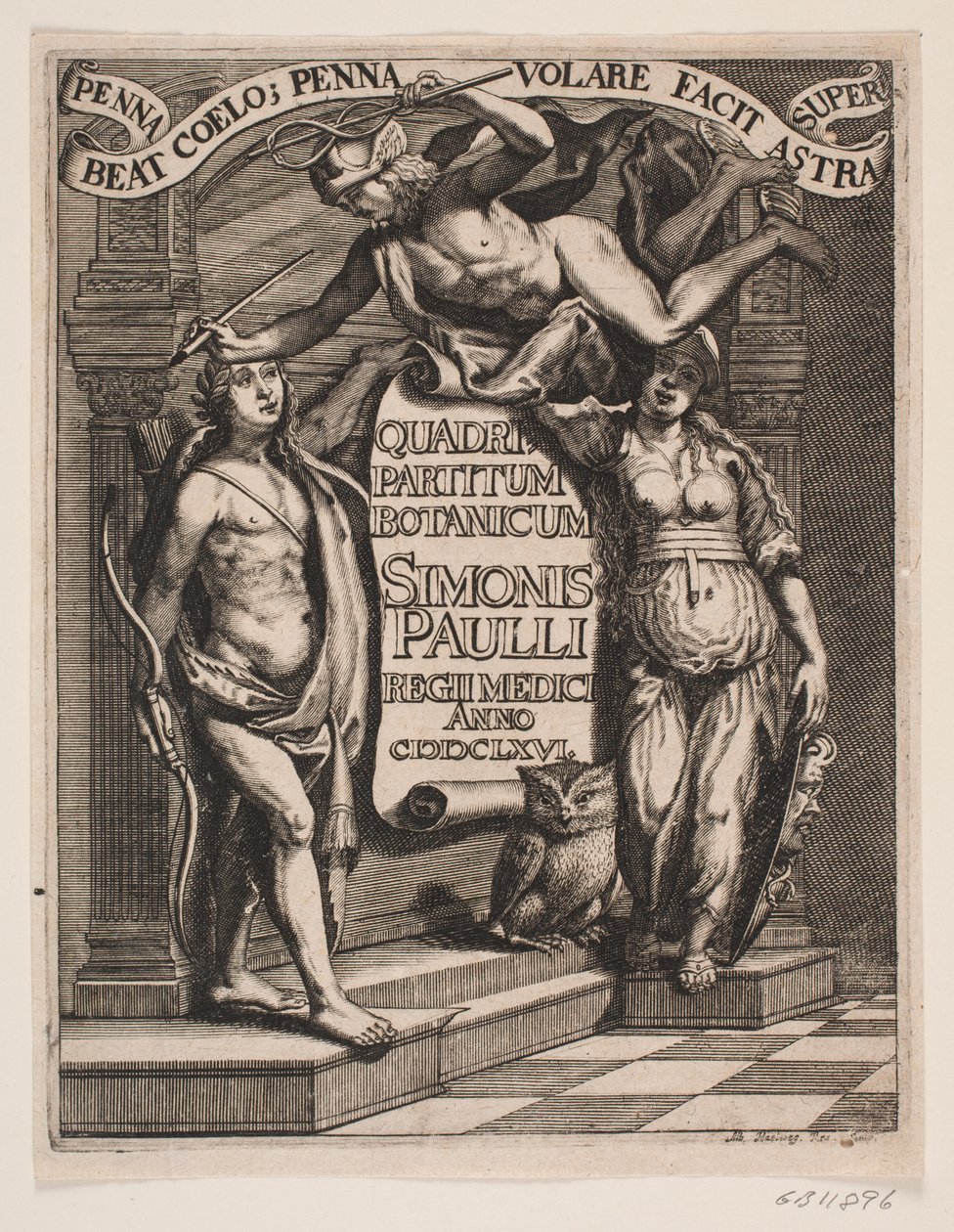 扉页背面：西蒙-保利，"Quadripartitum Botanicum"，1667 年 作者 阿尔伯特·海尔维格