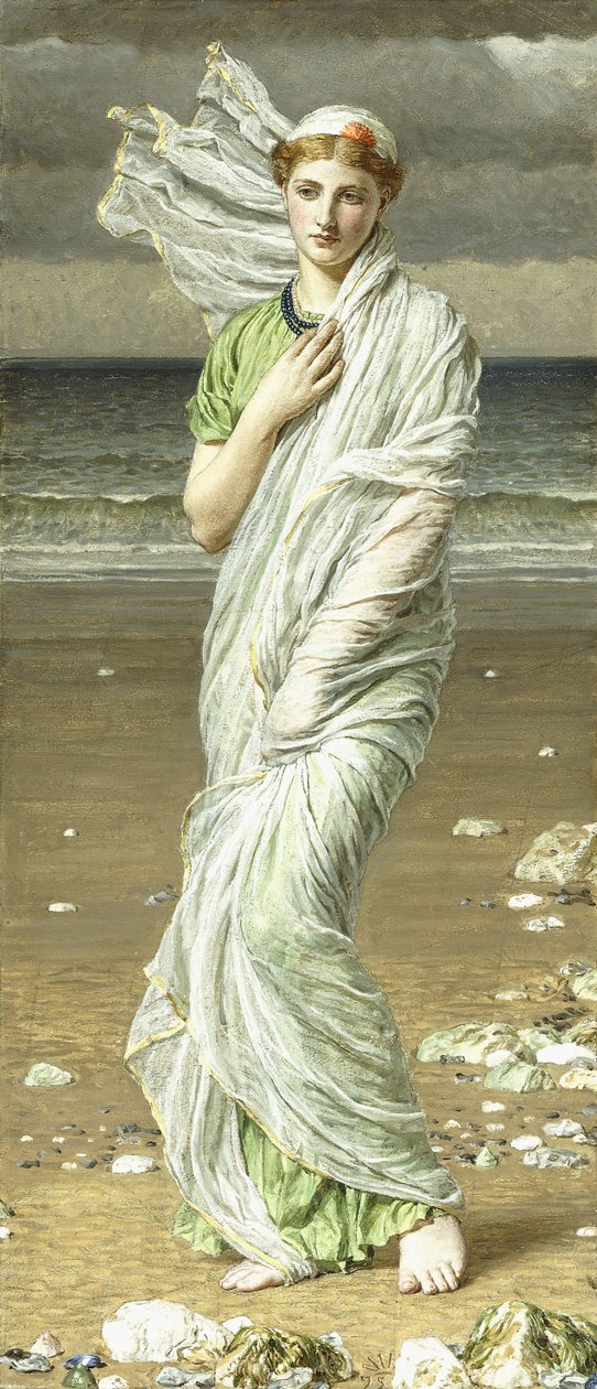 海贝壳，1875年 作者 阿尔伯特·约瑟夫·摩尔