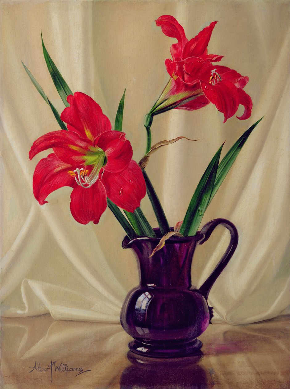 Amaryllis Lillies，在一个黑暗的玻璃水罐 作者 阿尔伯特·威廉姆斯