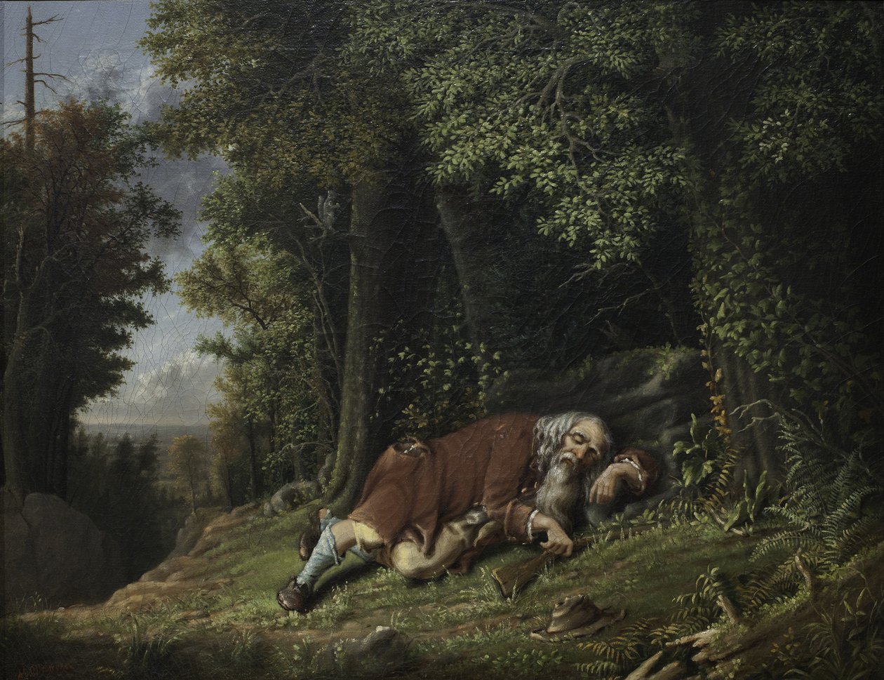 Rip Van Winkle Asleep，1879-80（油罐头） 作者 阿尔伯特斯·杜·布鲁威