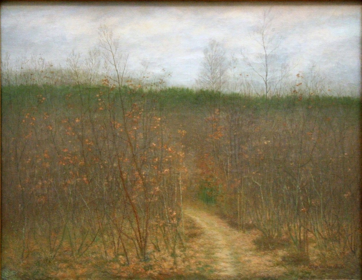 在Sint-Martens-Latem的Coppice 作者 Albijn Van den Abeele
