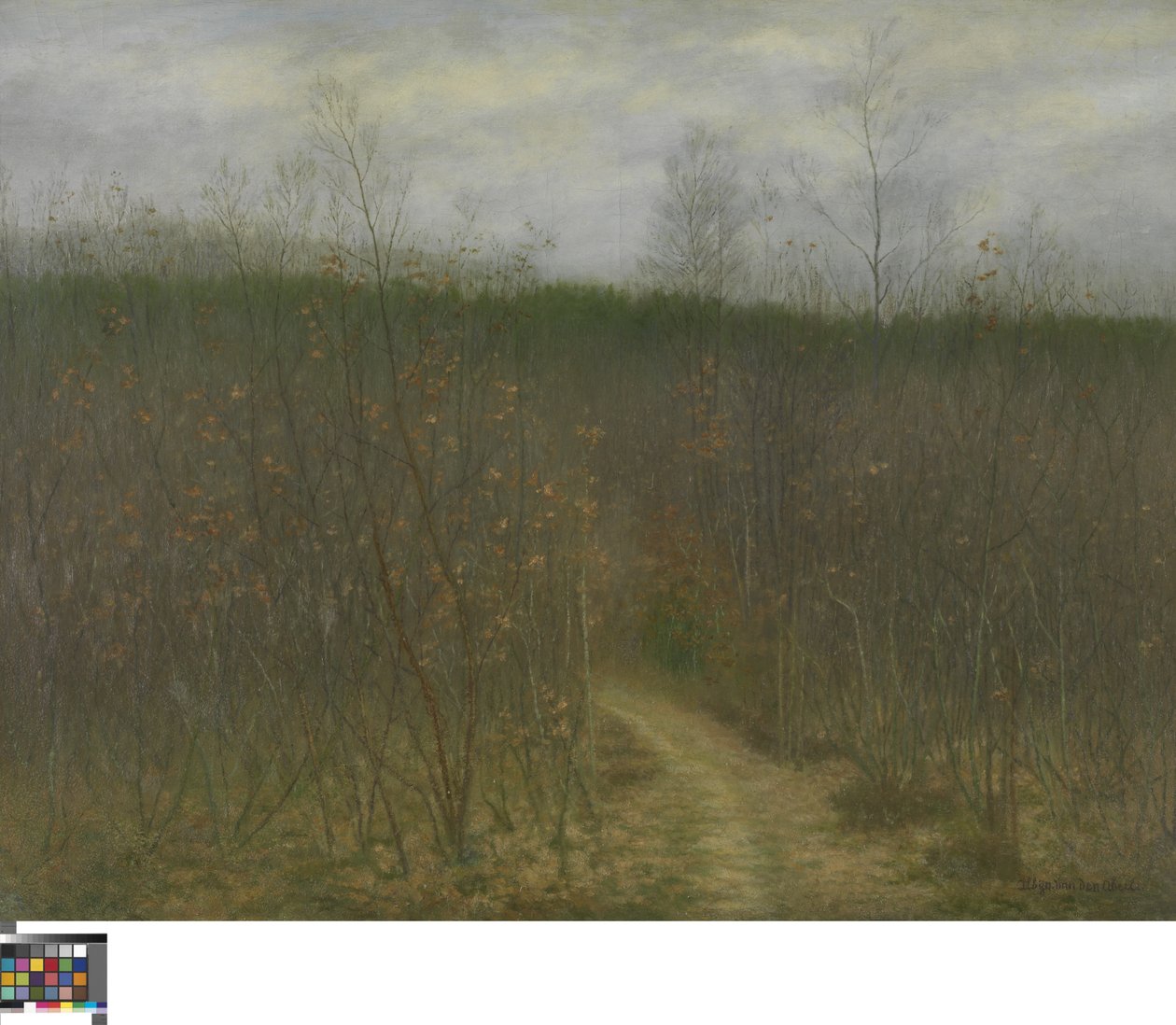 Sint-Martens-Latem 的灌木丛 作者 Albijn Van den Abeele
