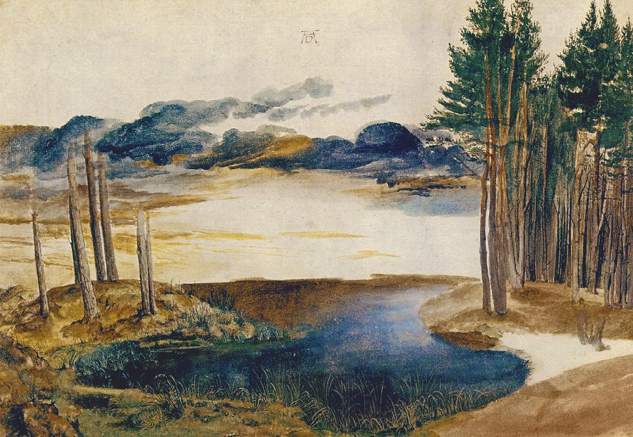 Pond in the Wood，c.1496（wc und gouache on paper） 作者 阿尔布雷希特丢勒